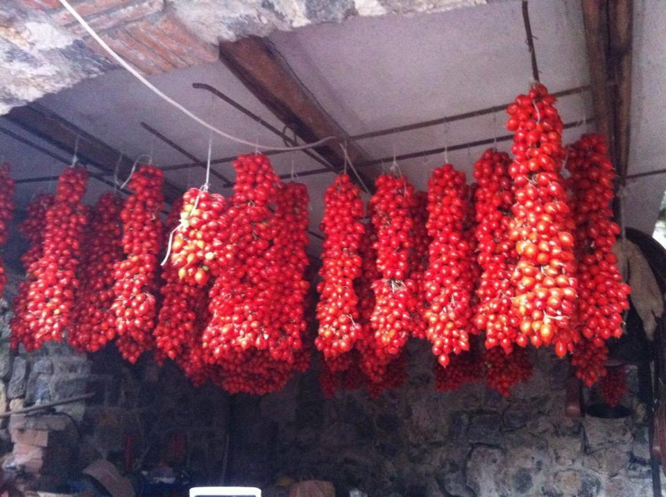 Nido Degli Dei Βίλα Agerola Εξωτερικό φωτογραφία